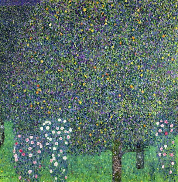 Reprodukcija Roses under the Trees, c.1905, Gustav Klimt