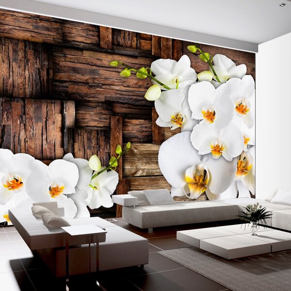 Foto tapeta - Blooming orchids