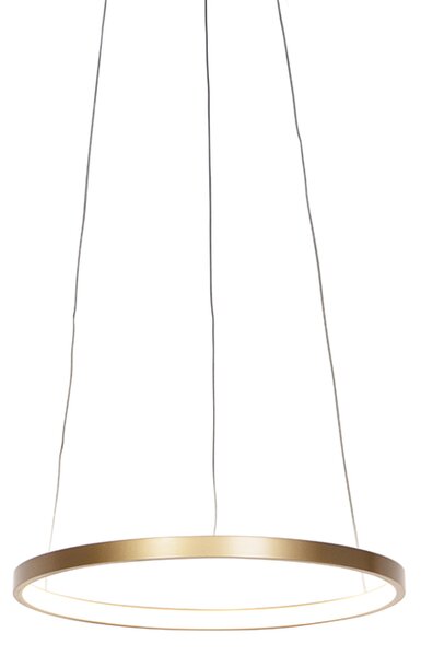 Moderna prsten viseća svjetiljka zlatna 40 cm, uključujući LED - Anella