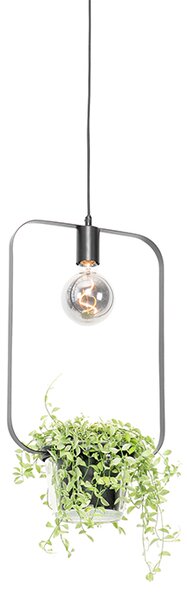 Moderna viseća svjetiljka crna sa staklom pravokutnog oblika - Roslini