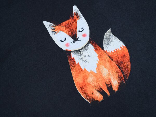 Posteljina od mikrovlakana FOXES crna Dimenzije posteljine: 2 kom 70 x 80 cm | 160 x 200 cm