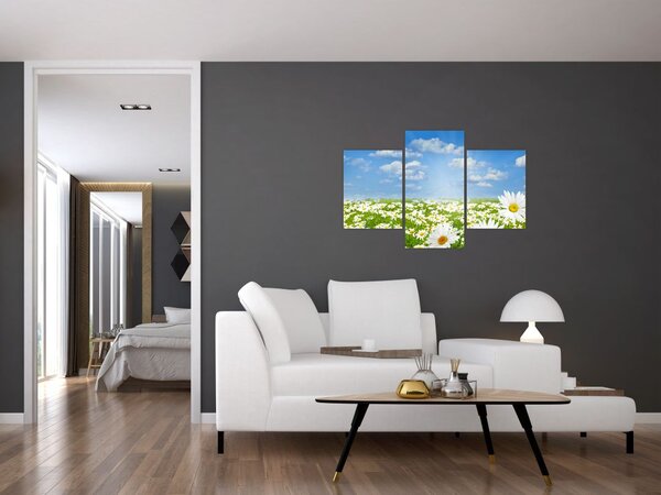 Slika procvjetale livade s tratinčicama (90x60 cm)