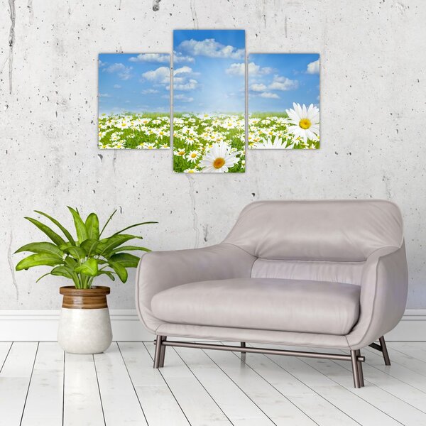 Slika procvjetale livade s tratinčicama (90x60 cm)