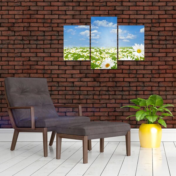 Slika procvjetale livade s tratinčicama (90x60 cm)