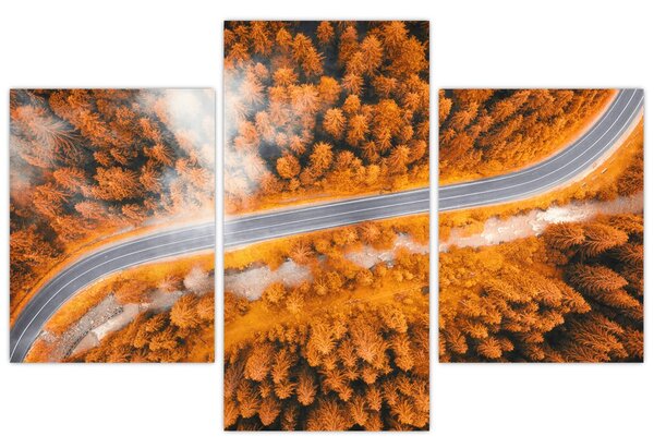 Slika - Planinski put (90x60 cm)