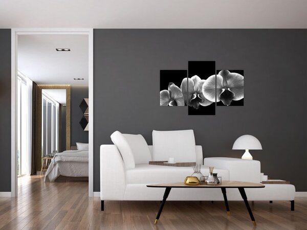 Slika cvijeta orhideje (90x60 cm)