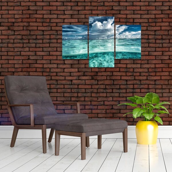 Slika - Pogled u podmorje (90x60 cm)