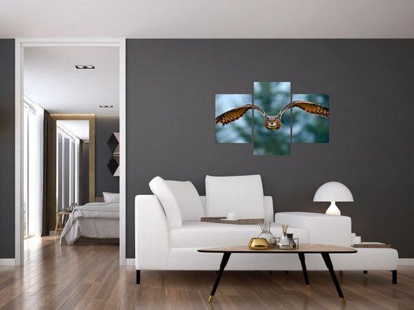 Slika - Sova u letu (90x60 cm)