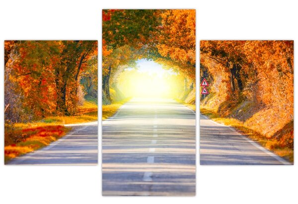 Slika -Prolaz od krošnja stabala (90x60 cm)