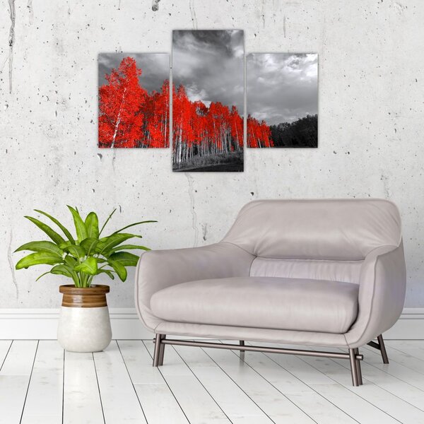 Slika - Drveće u jesenskim bojama (90x60 cm)