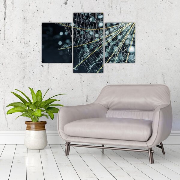 Slika - Cvijet s paučinom (90x60 cm)