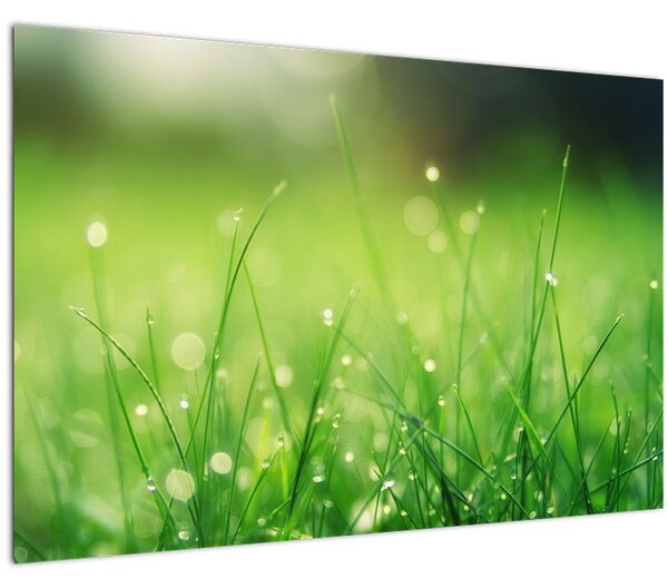 Slika - rosa na travi (90x60 cm)