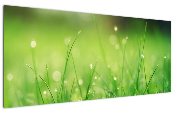 Slika - rosa na travi (120x50 cm)