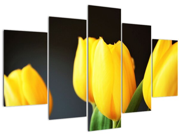 Slika tulipana (150x105 cm)