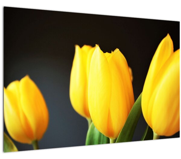Slika tulipana (90x60 cm)
