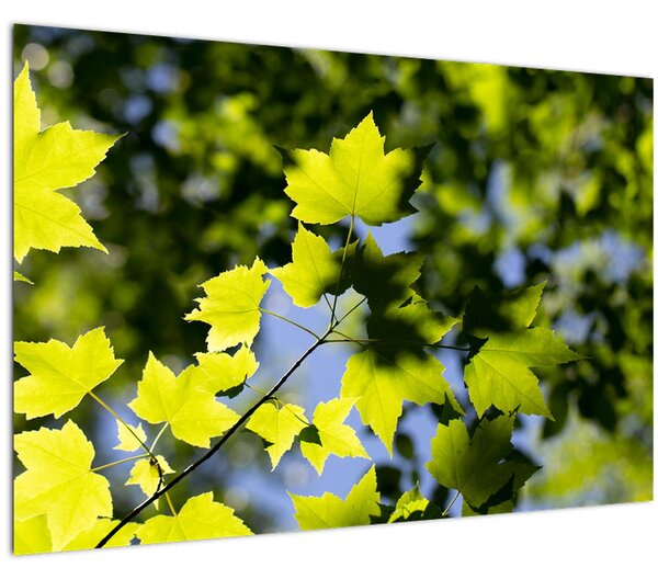 Slika - javorovo lišće (90x60 cm)