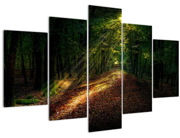 Slika šumskog puta (150x105 cm)