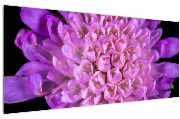 Detaljna slika cvijeta (120x50 cm)