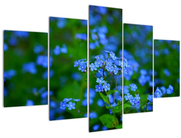 Slika plavog cvijeća (150x105 cm)