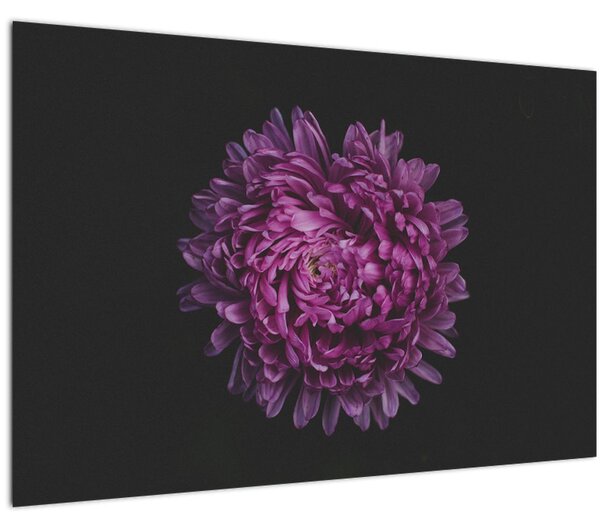 Slika ljubičastog cvijeta (90x60 cm)