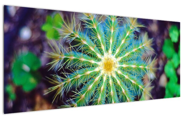 Slika kaktusa (120x50 cm)
