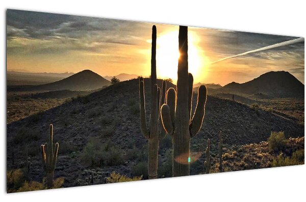 Slika - kaktusi na suncu (120x50 cm)