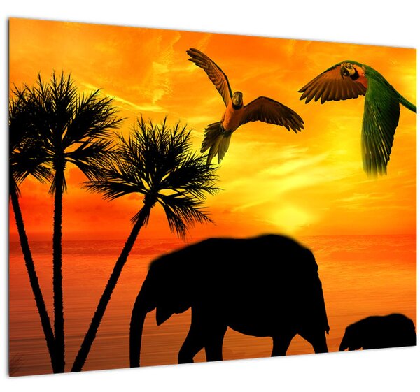 Slika - papige i slonovi (70x50 cm)