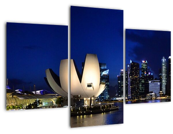 Slika Singapura noću (90x60 cm)