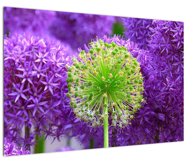 Slika cvijeta (90x60 cm)