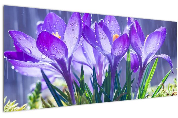 Slika cvijeća na kiši (120x50 cm)
