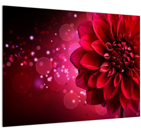 Slika crvenog cvijeta (70x50 cm)