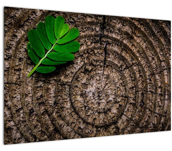 Slika lista na deblu drveta (90x60 cm)