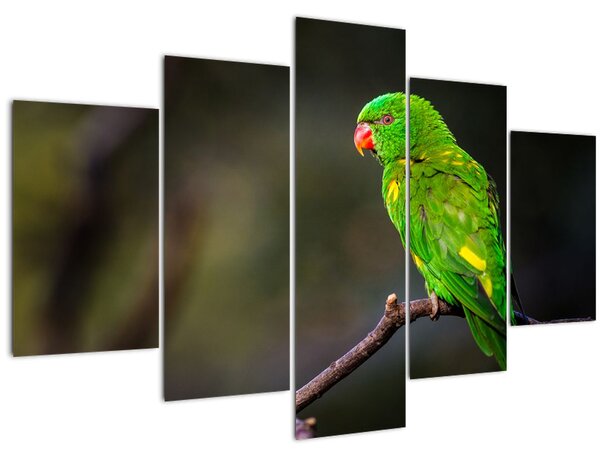 Slika papige na grani (150x105 cm)