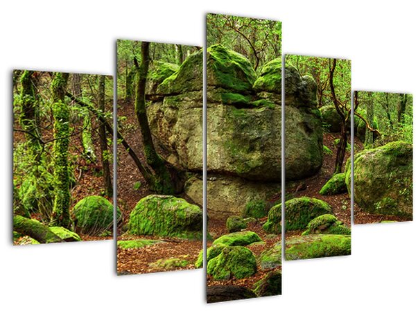 Slika čarobne šume (150x105 cm)