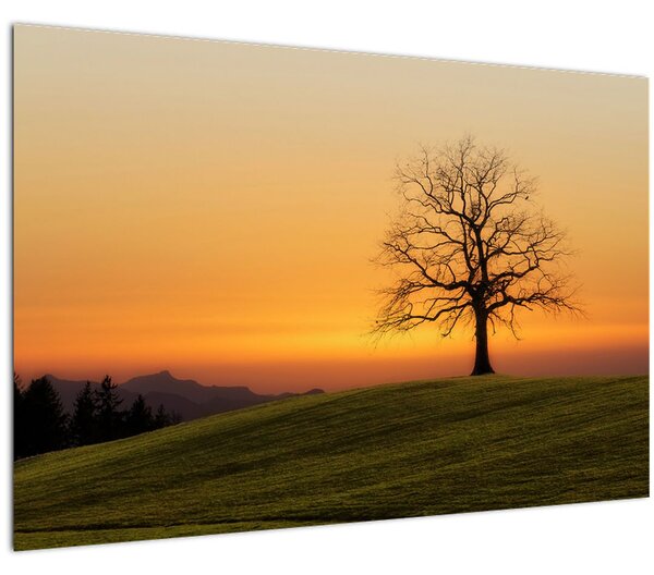 Slika zalaska sunca na livadi (90x60 cm)