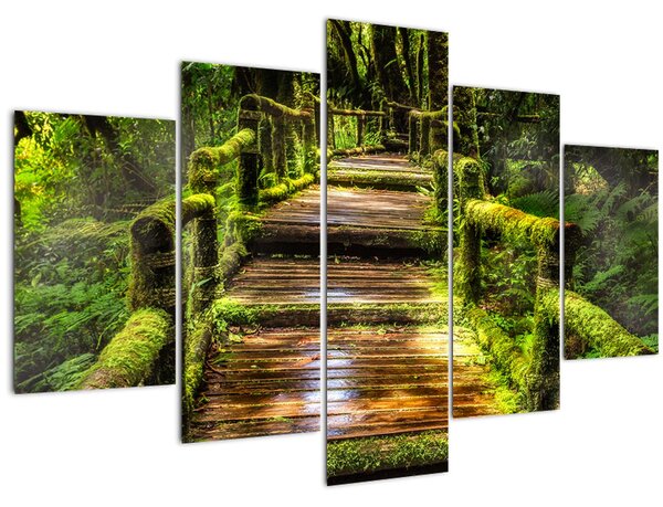 Slika stepenica u prašumi (150x105 cm)