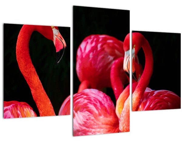 Slika crvenih flaminga (90x60 cm)