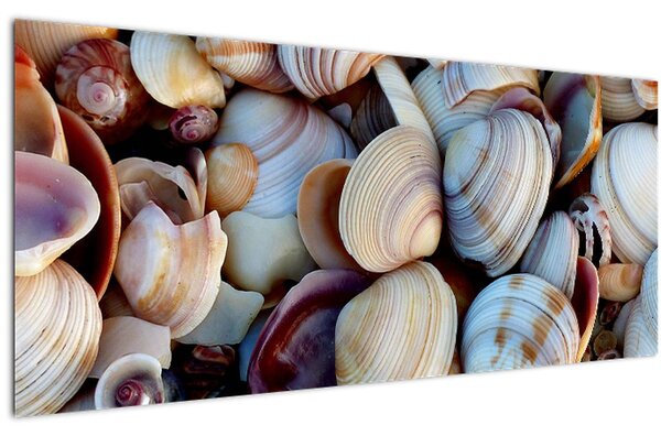 Slika školjki (120x50 cm)