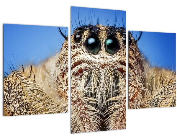 Slika detalja pauka (90x60 cm)