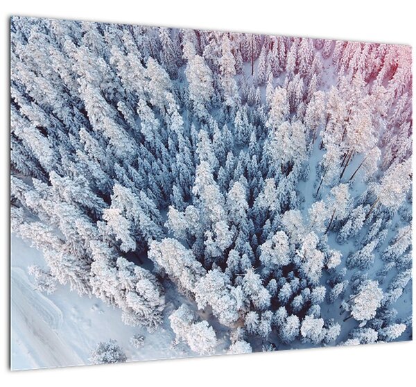 Slika snježnih stabala (70x50 cm)