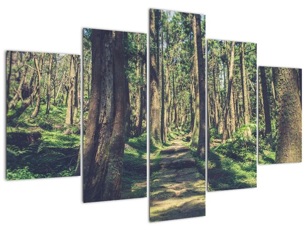 Slika staze između drveća (150x105 cm)