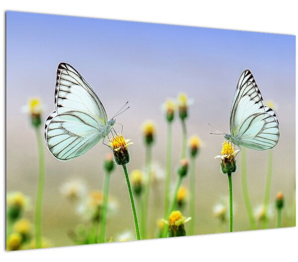 Slika leptira na cvijetu (90x60 cm)