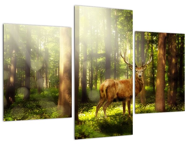 Slika jelena u šumi (90x60 cm)