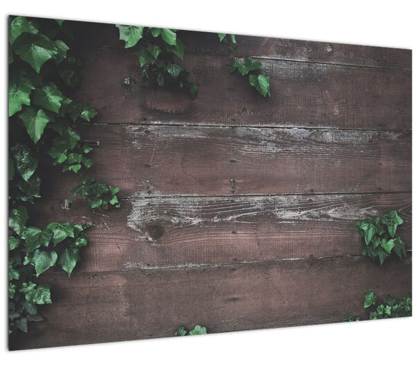 Slika - Bršljan (90x60 cm)
