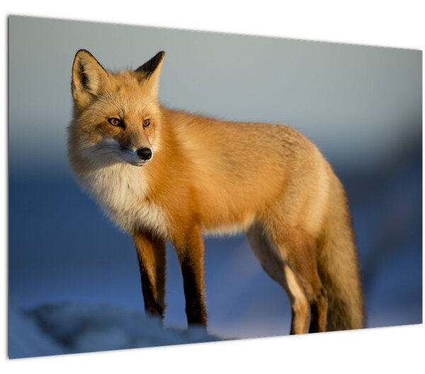 Slika - Lisica u snijegu (90x60 cm)