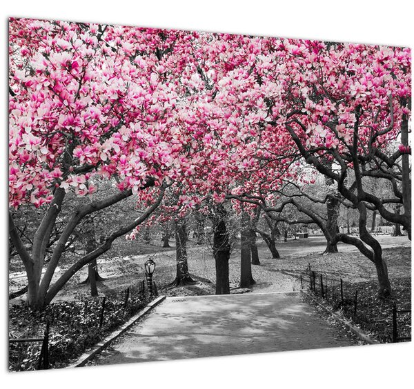 Slika drveća magnolije (70x50 cm)
