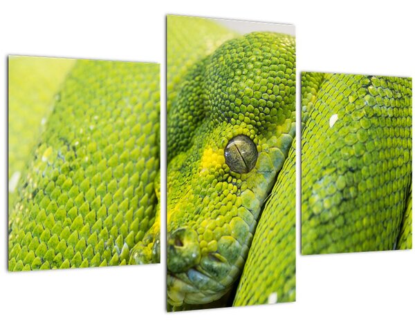 Slika zmije (90x60 cm)