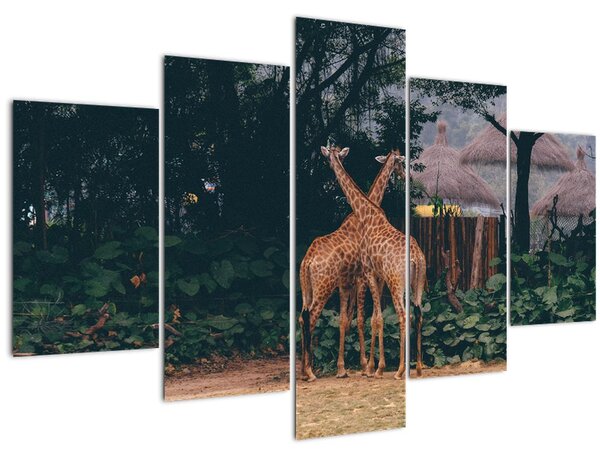 Slika dviju žirafa (150x105 cm)