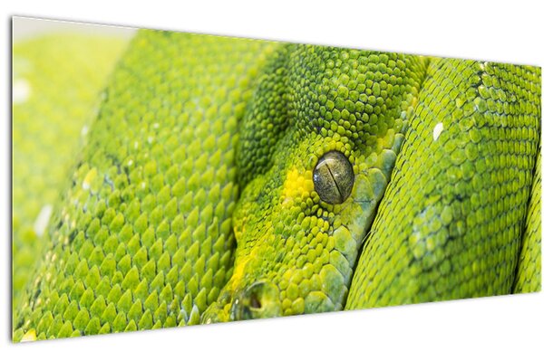 Slika zmije (120x50 cm)