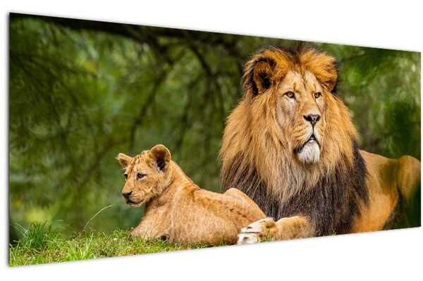 Slika lavova (120x50 cm)